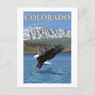 Carte Postale Plongée des aiglesColorado