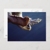 Carte Postale Plongée sous-marine (Devant / Derrière)