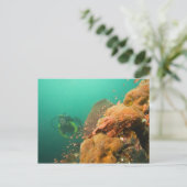 Carte Postale plongeur & Scorpanopsis (Debout devant)