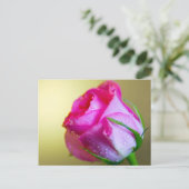 Carte Postale Pluie Abandonner les baisers de la nature sur Rose (Debout devant)