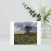 Carte Postale Pluie Bientôt (Debout devant)