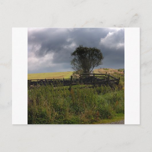Carte Postale Pluie Bientôt (Devant)