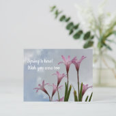 Carte Postale Pluie Rose Lys Springtime Vous Manquent (Debout devant)