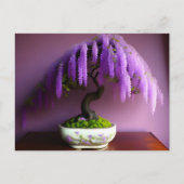 Carte Postale Pluie violette Wisteria Bonsai, poste (Devant)