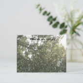 Carte Postale Pluies (Debout devant)