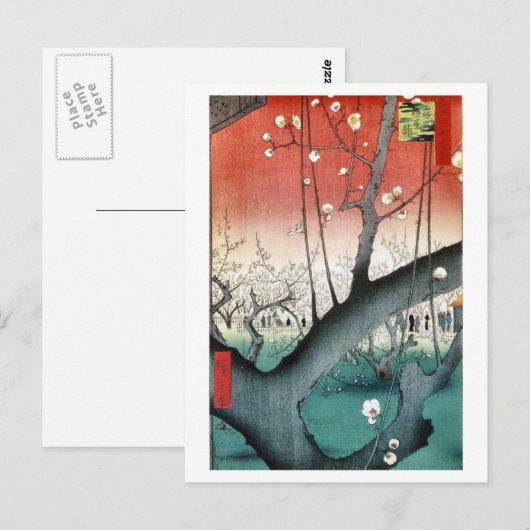 Carte Postale Plum (Devant / Derrière)