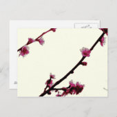 Carte Postale Plum (Devant / Derrière)