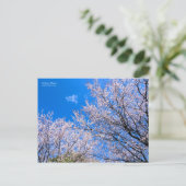 Carte Postale Plum cerise [Carte postale] (Debout devant)