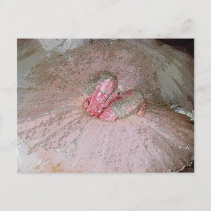 Carte Postale Plum de sucre