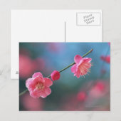 Carte Postale Plum japonais 4 (Devant / Derrière)
