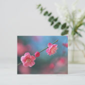 Carte Postale Plum japonais 4 (Debout devant)