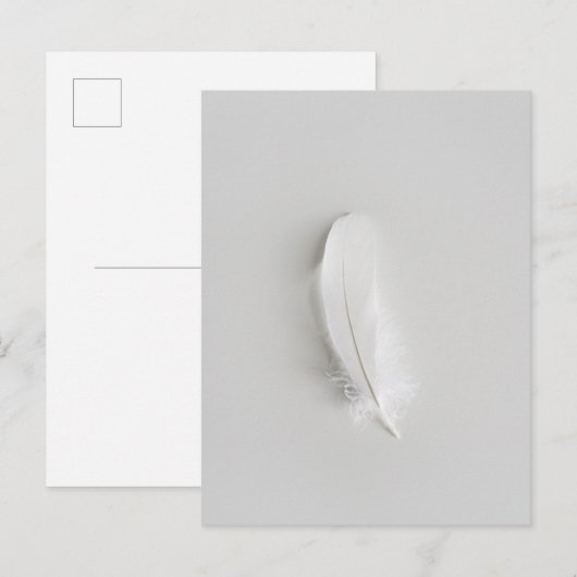 Carte Postale Plume blanche minimaliste (Devant / Derrière)