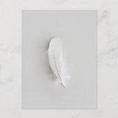 Carte Postale Plume blanche minimaliste (Devant)