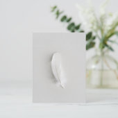 Carte Postale Plume blanche minimaliste (Debout devant)
