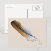 Carte Postale plume de Buse à queue rousse (Devant / Derrière)