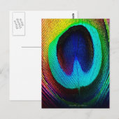 Carte Postale Plume de paon vibrant (Devant / Derrière)