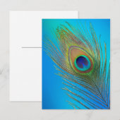 Carte Postale Plume de queue de paon (Devant / Derrière)