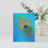Carte Postale Plume de queue de paon (Debout devant)
