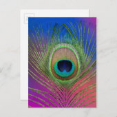 Carte Postale Plume de queue d'un paon (Devant / Derrière)
