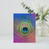 Carte Postale Plume de queue d'un paon (Debout devant)