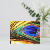 Carte Postale Plume de Shirley Taylor (Debout devant)