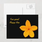 Carte Postale Plumeria (Devant / Derrière)