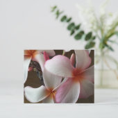 Carte Postale Plumeria 3 - éducation du cerveau (Debout devant)