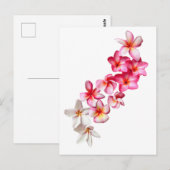 Carte Postale Plumeria Fleurs Collage (Devant / Derrière)