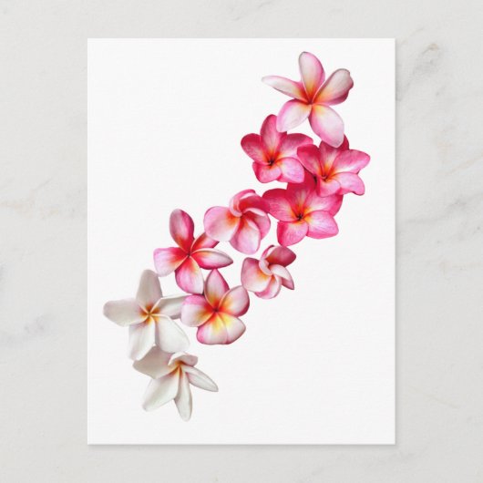 Carte Postale Plumeria Fleurs Collage (Devant)