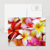 Carte Postale Plumeria Frangipani Hawaii Fleur Customisée (Devant / Derrière)