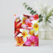 Carte Postale Plumeria Frangipani Hawaii Fleur Customisée (Debout devant)
