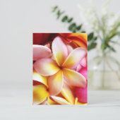 Carte Postale Plumeria Frangipani Hawaii Flower Customized Blank (Debout devant)