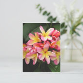 Carte Postale Plumeria rose et jaune Fleurs tropicales (Debout devant)