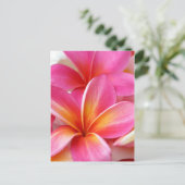 Carte Postale Plumeria rose Frangipani Hawaii Fleur Hawaii Hawai (Debout devant)