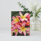 Carte Postale Plumeria tropicale rose et jaune (Debout devant)
