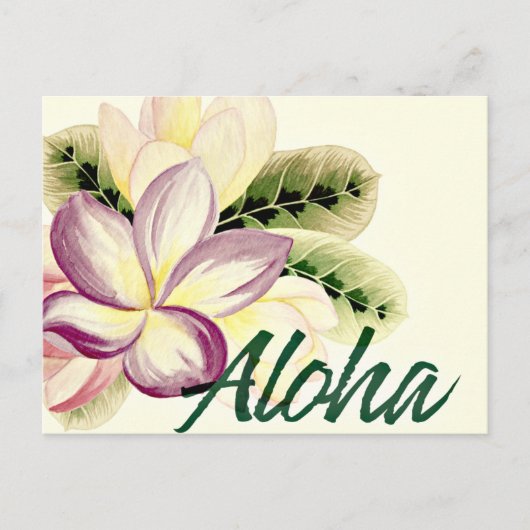 Carte Postale Plumeria vintage Aloha (Devant)