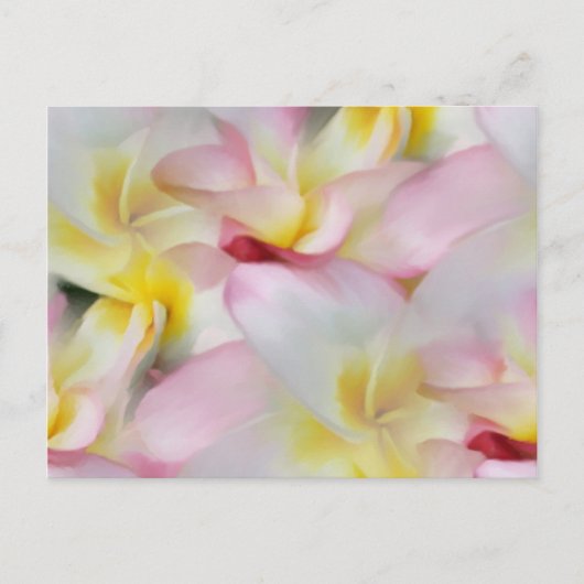 Carte postale Plumeria Watercolor (Devant)