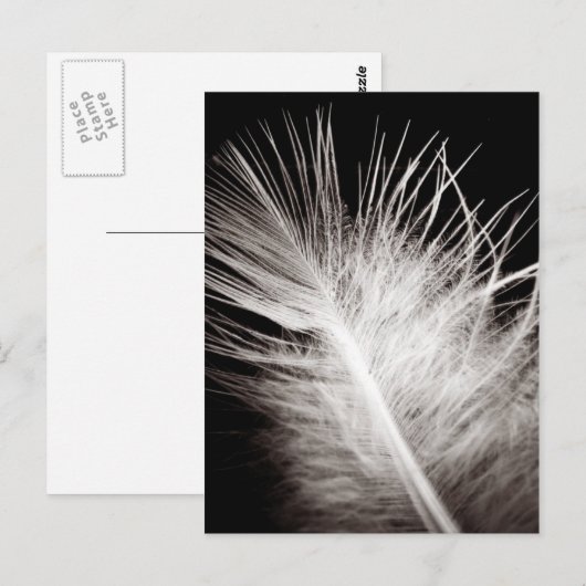 Carte Postale Plumes (Devant / Derrière)