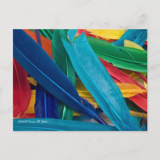 Carte postale plumes (Devant)