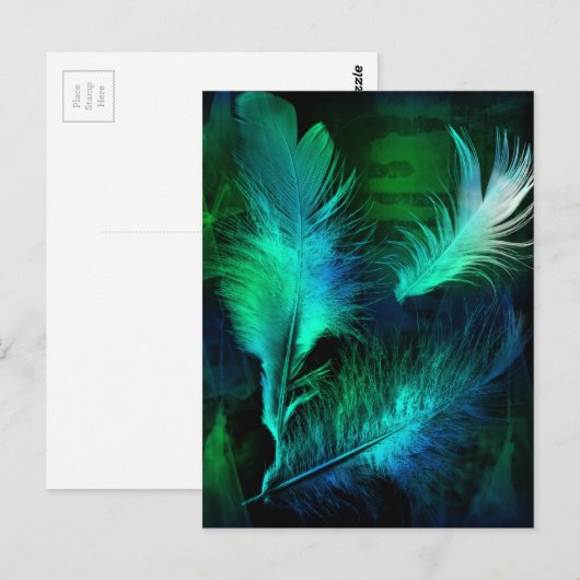 Carte Postale Plumes (Devant / Derrière)