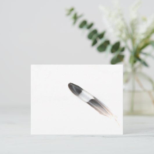 Carte Postale Plumes (Debout devant)