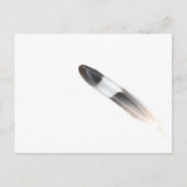 Carte Postale Plumes (Devant)