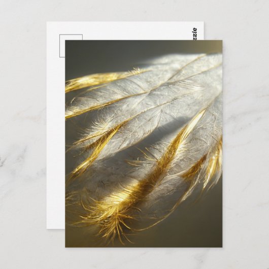 Carte Postale Plumes blanches dorées (Devant / Derrière)