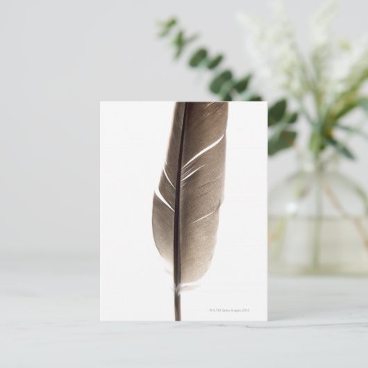 Carte Postale Plumes blanches fragiles (Debout devant)