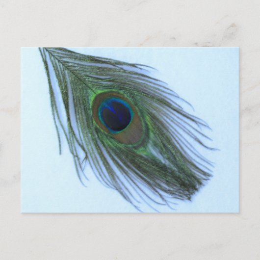 Carte Postale Plumes bleu Peacock (Devant)