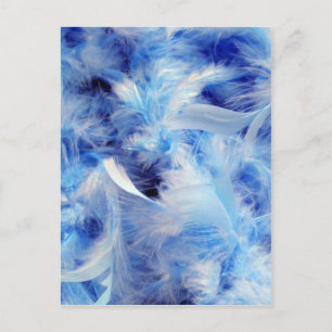 Carte Postale Plumes bleues