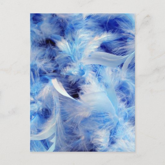 Carte Postale Plumes bleues (Devant)