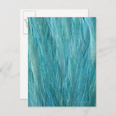 Carte Postale Plumes bleues (Devant / Derrière)