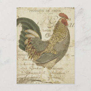 Carte Postale Plumes Brown vintages de coq Ephémère française