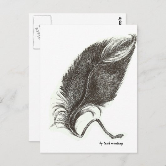 Carte Postale Plumes d'aigle (Devant / Derrière)